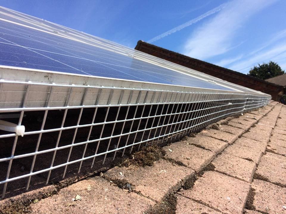 Critter Guard Solar Maintenance Pros